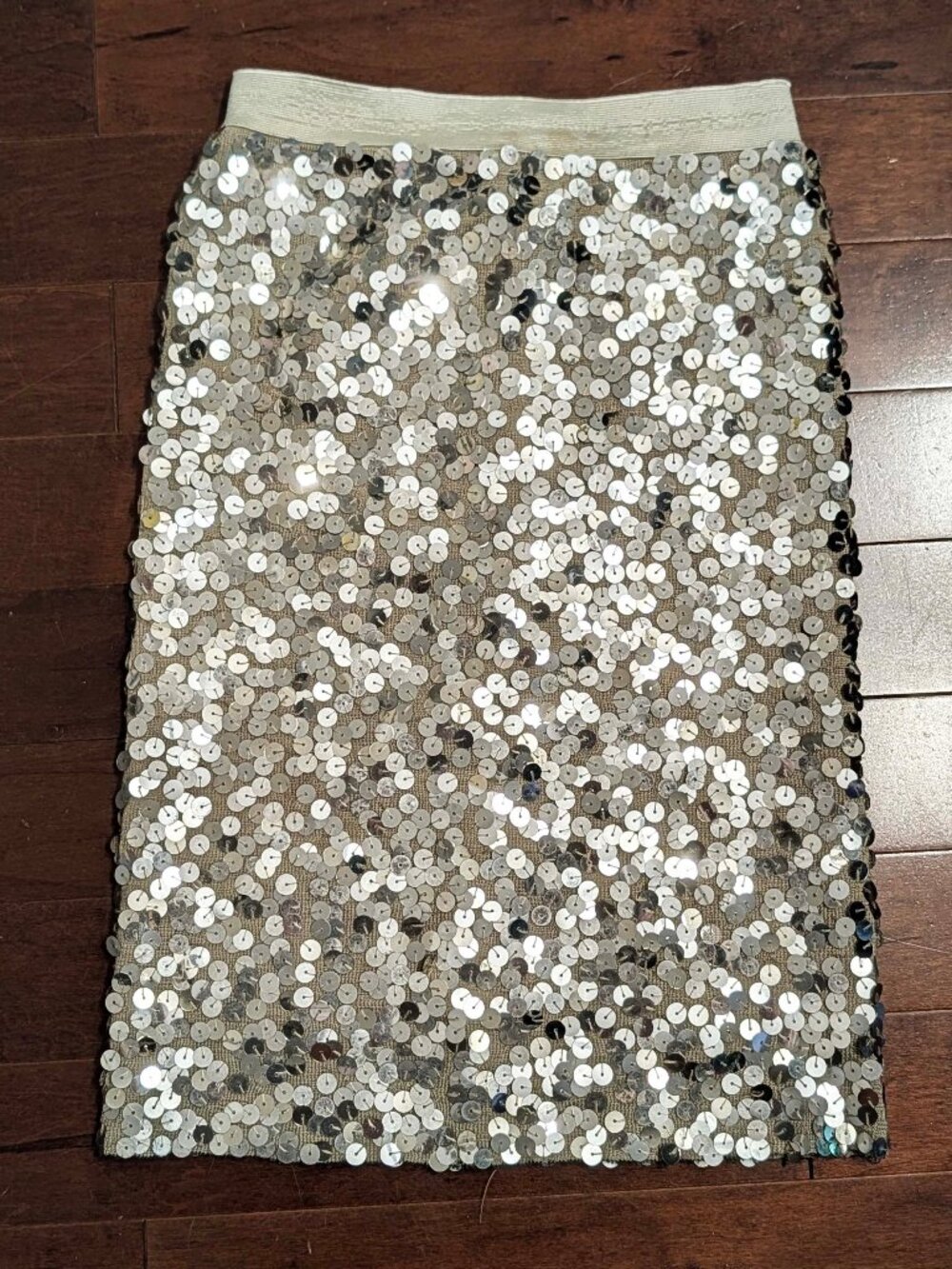 Sequin Stretch Midi / Pencil Skirt